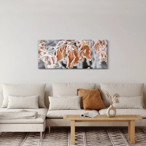 Obraz - Zamrznuté listy (120x50 cm)
