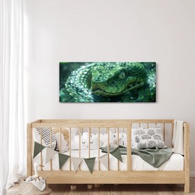 Obraz - Portrét hada (120x50 cm)