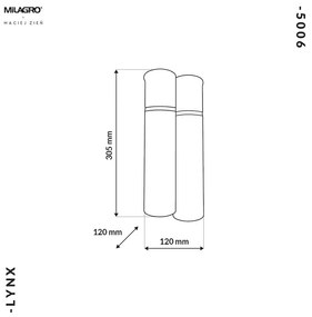 Stropné svietidlo Lynx, 2x zlaté/čierne kovové tienidlo