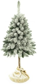Vianočný stromček Borovica zasnežená na pníku 160 cm