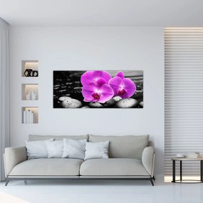 Obraz - Fialové orchidey (120x50 cm)