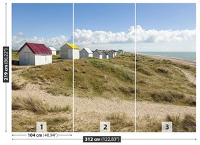 Fototapeta Vliesová Dunes beach 208x146 cm