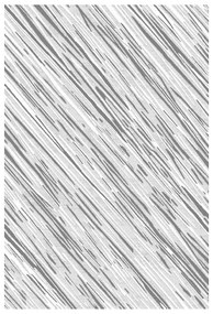 Koberec Levizze 1,4/1,9 LVZ NA895 LVG11