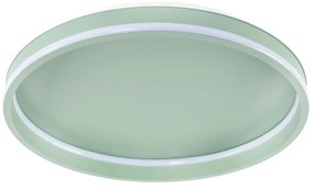 Toolight Toolight, LED stropné svietidlo 40cm, 4000 lm, 22W, 4000K, APP1463, zelená, OSW-08641