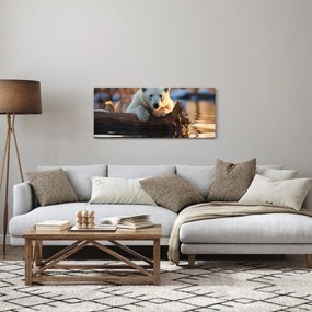 Obraz - Medveď ľadový (120x50 cm)