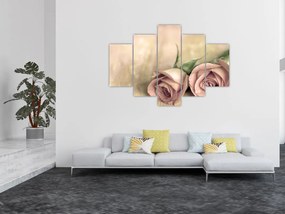 Obraz na stenu - ruže