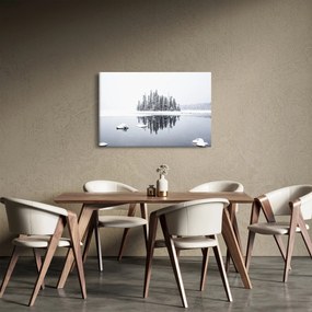 Obraz- Bolo bielo (90x60 cm)