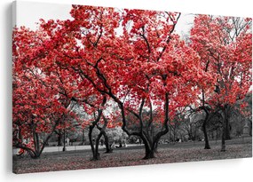 Obraz - Červené stromy, Central Park, New York (90x60 cm)