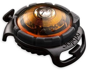 LED svetlo na obojok Amber – Orbiloc