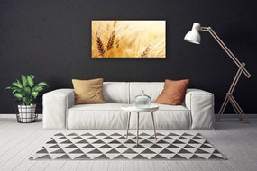 Obraz Canvas Pšenica rastlina príroda 140x70 cm