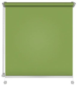 Gario Roleta Mini Standard Hladká Jarná zelená Šírka: 107 cm, Výška: 150 cm
