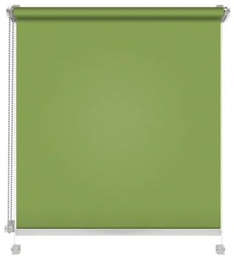 Gario Roleta Mini Standard Hladká Jarná zelená Šírka: 69 cm, Výška: 220 cm