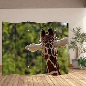 Paraván - Žirafa zozadu (210x170 cm)