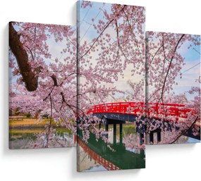 Obraz - Hirosaki, Japonsko (90x60 cm)