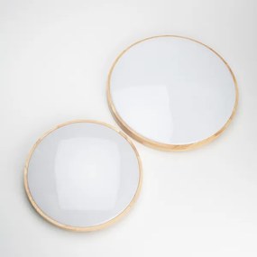 Brilagi - LED stlmiteľné stropné svietidlo PINE LED/24W/230V + diaľkové ovládanie