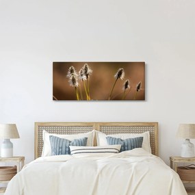 Obraz - Travina (120x50 cm)