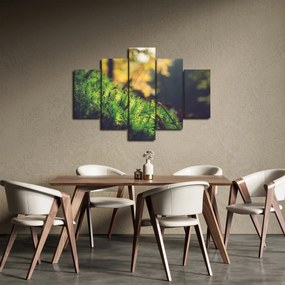 Obraz machu s hubou (150x105 cm)