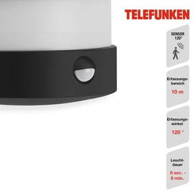 Telefunken 315505TF-LED Vonkajšie nástenné svietidlo so senzorom LED/12W/230V IP44