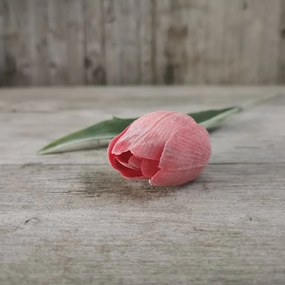 Tulipán umelý červený jemne bielený 43cm cena za 1ks