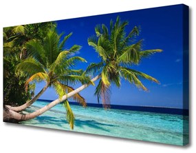 Obraz na plátne Palma strom more krajina 140x70 cm