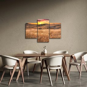 Obraz pole (90x60 cm)