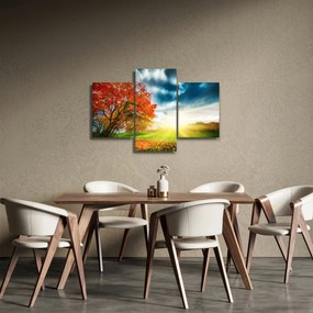 Obraz krajiny zaliate slnečným svitom (90x60 cm)