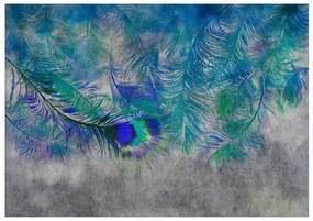 Fototapeta na stenu Peacock Feathers