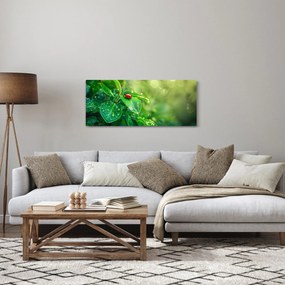 Obraz - Lienka (120x50 cm)