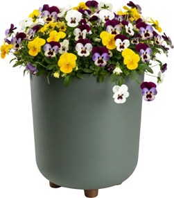 PLASTOVÝ KVETINÁČ TERRA 24X27,5 CM MÄTOVÁ