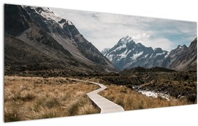 Obraz - Chodník v údolí hory Mt. Cook (120x50 cm)