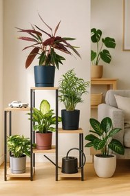 Stojan na kvety PANORAMA svetlý dub