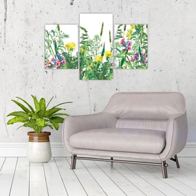 Obraz - Maľované lúčne kvety (90x60 cm)