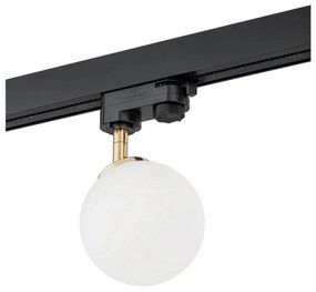 Argon 4307 - Bodové svietidlo do lištového systému BANG 1xG9/6W/230V mosadz