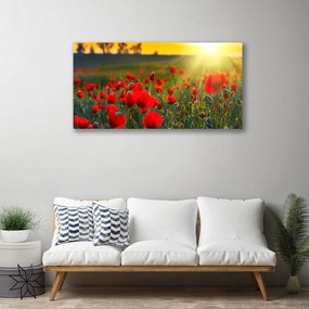 Obraz Canvas Lúka maky rastlina príroda 120x60 cm