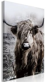 Obraz - Highland Cow in Sepia Veľkosť: 60x90, Verzia: Premium Print