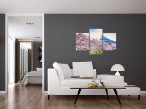 Obraz - Japonsko na jar (90x60 cm)