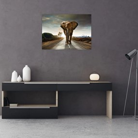 Sklenený obraz slona (70x50 cm)