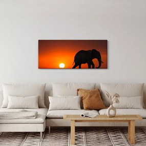 Obraz slona pri západe slnka (120x50 cm)