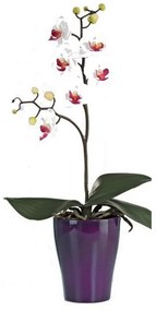 XXXLutz ORCHIDEA orchidea 40 cm - Kvety & kvetináče - 0030910393