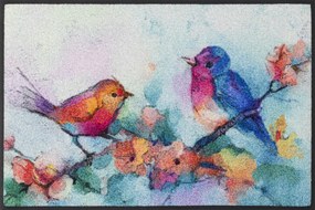 Vtáčiky- farebná rohožka 50x75 cm