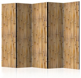 Artgeist Paraván - Amazonian Wall II [Room Dividers]