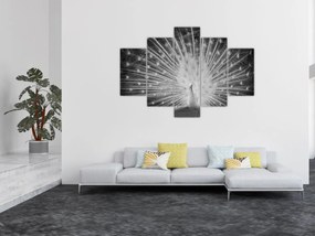 Obraz - Biely páv (150x105 cm)