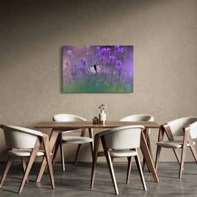 Obraz - Motýľ v levanduli (90x60 cm)