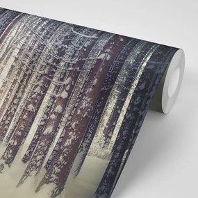 Samolepiaca fototapeta les zahalený snehom - 150x100