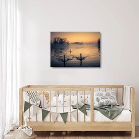 Sklenený obraz labutí na vode v hmle (70x50 cm)