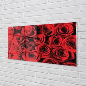 Obraz plexi Ruže 125x50 cm
