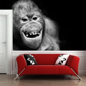 Sablio Tapeta Orangutan - 125x75 cm