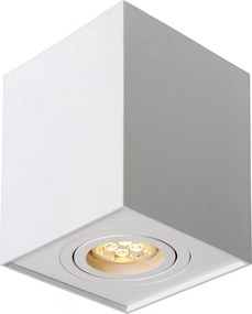 Lucide 22953/01/31 - Bodové svietidlo TUBE 1xGU10/50W/230V biela