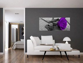 Obraz - Fialová ruža so zelenou stonkou (120x50 cm)