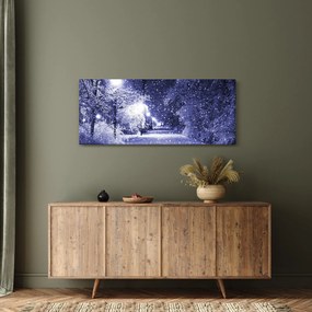 Obraz - Čarovná zimná noc (120x50 cm)